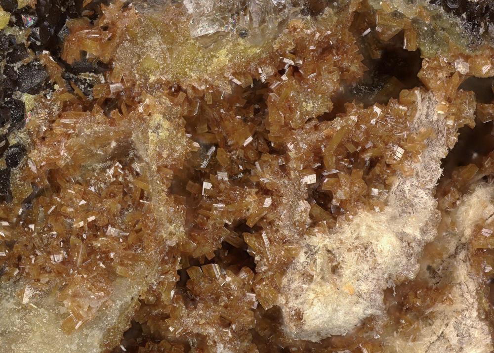 Parsonsite
